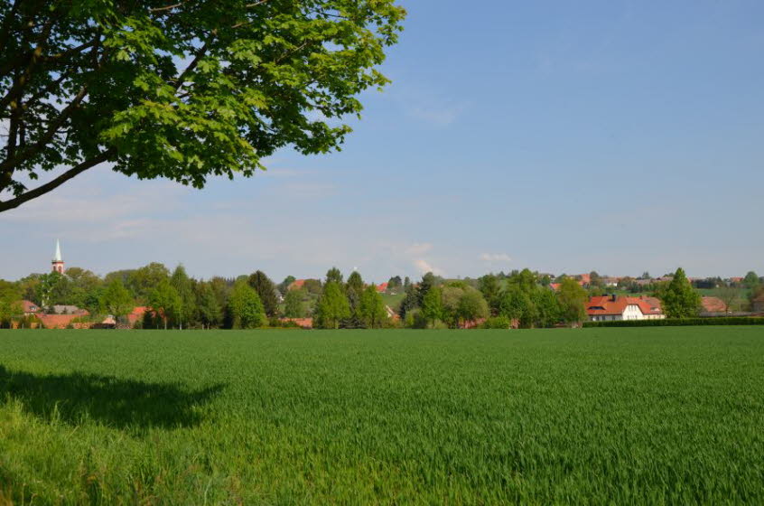 Blick vom Schulweg