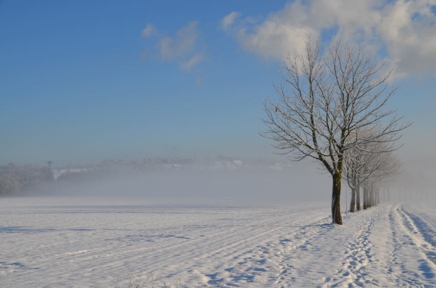 DSC_0010