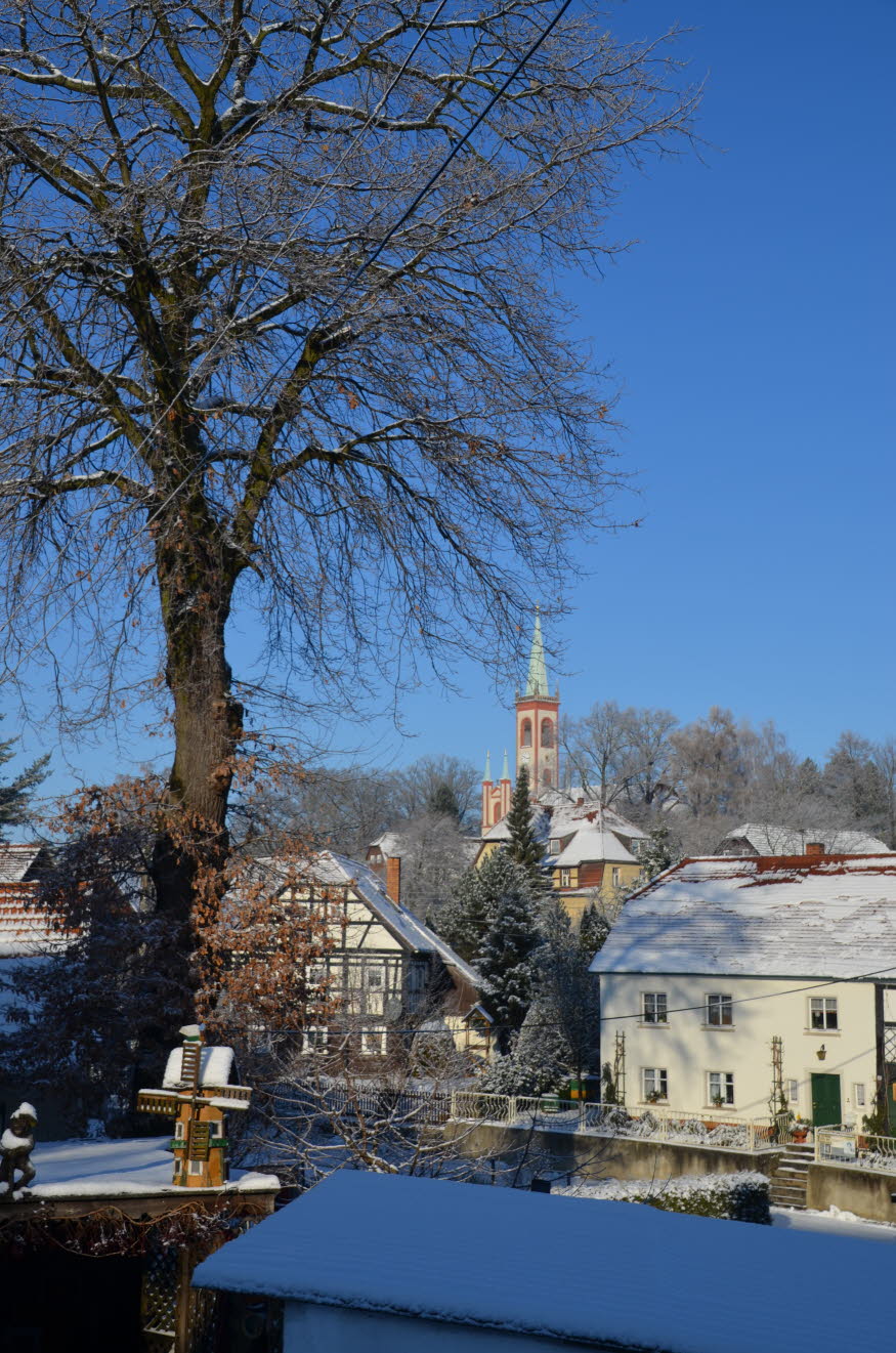 DSC_0017