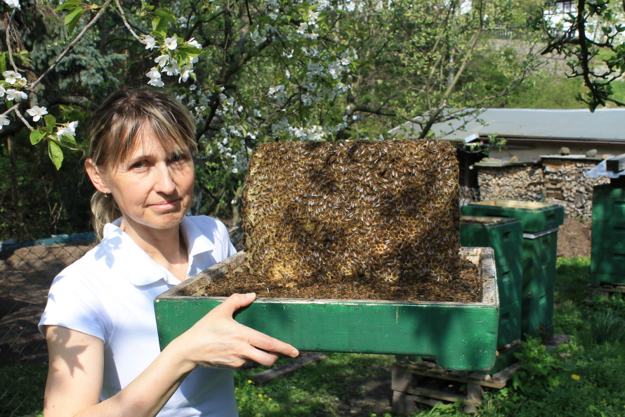 gutmtige Bienen